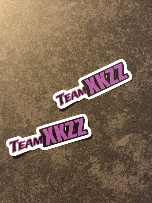 TeamXKZZ Sticker 2 PCS